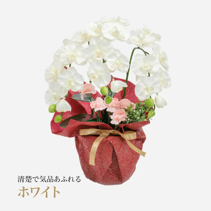 楽天市場】母の日 造花 2025 プレゼント 胡蝶蘭 カーネーション 