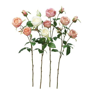 asca [Y×2@ڂ×1 1{