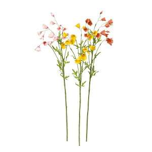 asca xt[×13@ڂ×3 1{