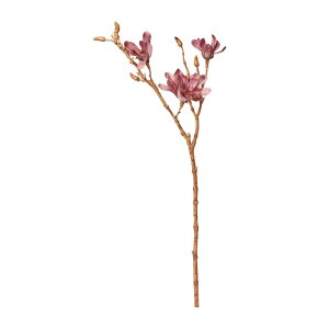 asca }OmA×3@ڂ×6 _XeB|u 1{