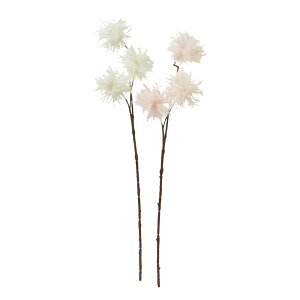 asca N}`XV[hXv[×3 1{