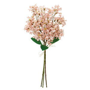 asca ~jt[o`i13{j s|` 1