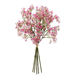 asca ~jt[o`i15{j r|eB 1