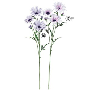 asca f[W[×3@ڂ×4 1{