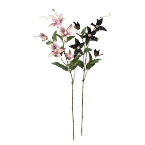 asca N}`X×5@ڂ×3 1{