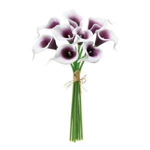 asca J[Bo`i19{j zCgp|v 1