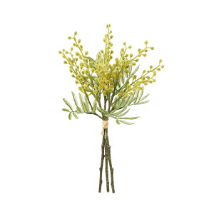 asca ~Uo`i13{j CG| 1