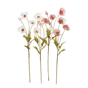 asca |s[×3@ڂ×1 1{