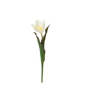 asca Z~I[v`[bv N|CG| 1{