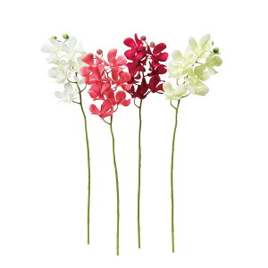 asca ft@×7@ڂ×2 1{