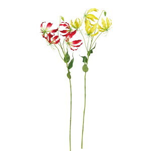 asca OIT×4@ڂ×1 1{