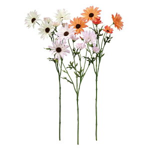 asca f[W[×6@ڂ×1 1{