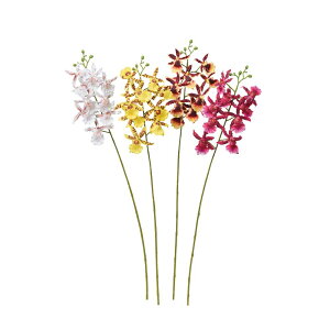 asca IVW[×9@ڂ×6 1{