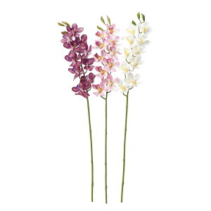 asca J×10@ڂ×3 1{