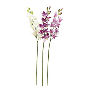 asca ft@×8@ڂ×3 1{