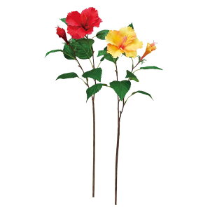 asca nCrXJX×1@ڂ×1 1{