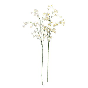 asca Jpj×43@ڂ×5 1{