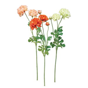 asca iLX×2@ڂ×1 1{