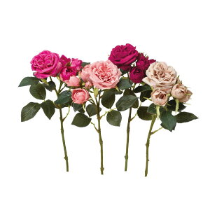 asca [Y×2@ڂ×3 1{