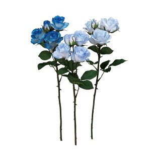 asca [Y×3@ڂ×2 1{