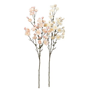 asca ubT×18@ڂ×12 1{