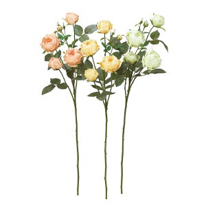 asca [Y×4@ڂ×3 1{