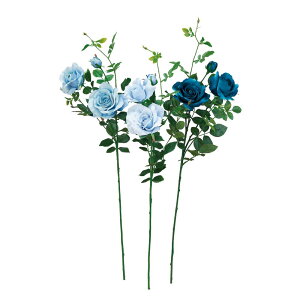 asca u_[Y×2@ڂ×1 1{