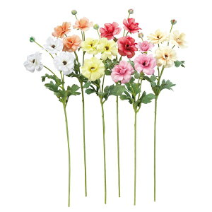 asca iLX×3@ڂ×1 1{