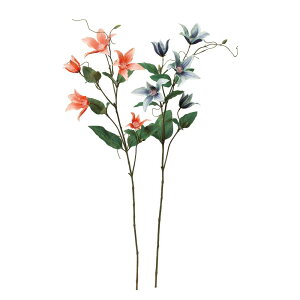 asca N}`X×5@ڂ×3 1{