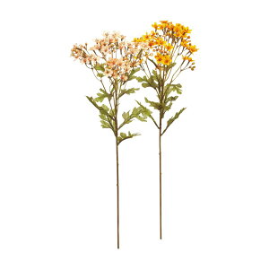 asca Cht[×40@ڂ×60 1{