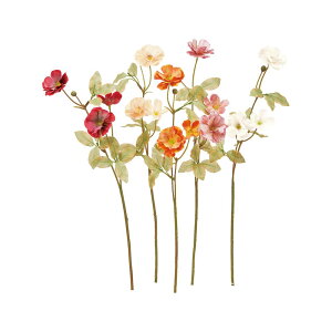 asca ~jt[Xv[×3@ڂ×2 1{