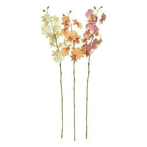 asca IVW[×9@ڂ×3 1{