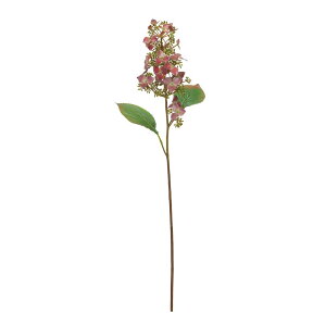 asca nChWA o|KfBO| 1{