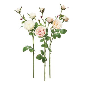 asca [Y×3@ڂ×1 1{