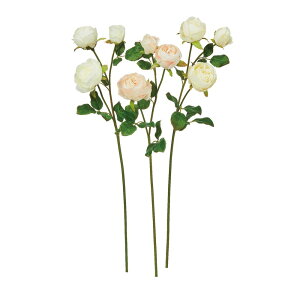 asca [Y×2@ڂ×1 1{