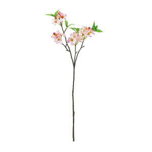 asca ubT×20@ڂ×4 sNzCg 1{