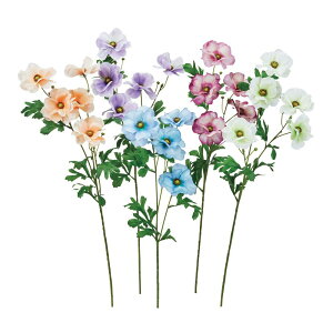 asca iLX×5@ڂ×3 1{