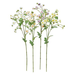 asca ~jt[Xv[×15@ڂ×9 1{