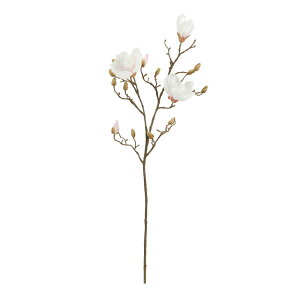 asca }OmA×3@ڂ×13 N|sN 1{