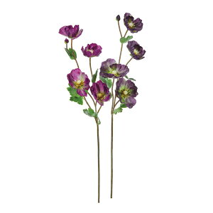 asca |s[×4@ڂ×1 1{