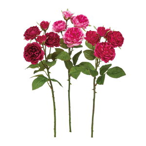 asca [Y×3@ڂ×2 1{