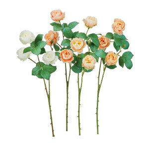 asca [Y×3@ڂ×1 1{