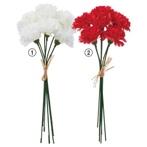 asca ~jJ[l[Vo`i16{j 1