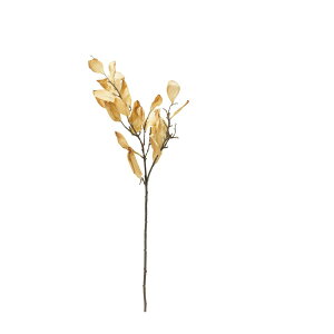 asca hC^b`[tXv[ x|W 1{