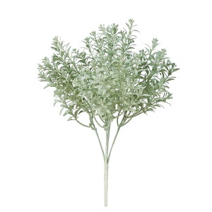 asca ~j[tubV OCO| 1{