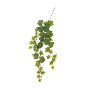 asca O[v[tnMOoC O| 1{