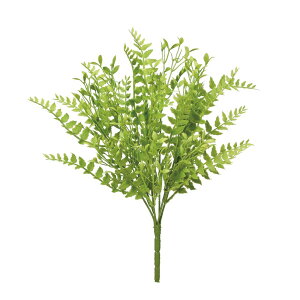 asca ~bNX[tubV CgO| 1{