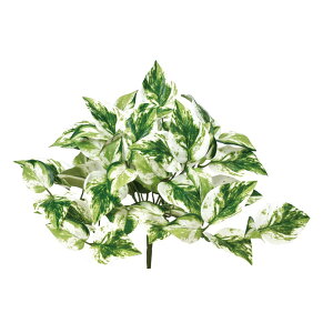 asca |gXubV EJ@QCgO| 1{