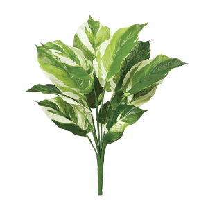 asca JeAubV EJ@QCgO| 1{