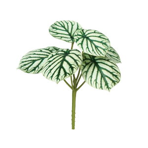 asca yy~AsbN EJ@QCgO| 1{